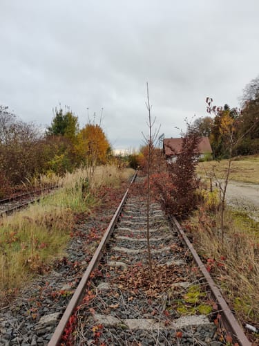 Altdorf nach Hebenstreit