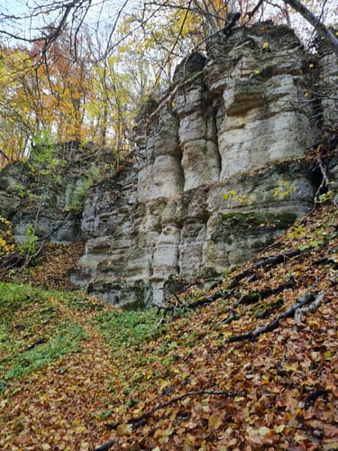 Dermbacher Klippen