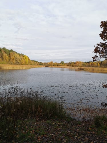 Südheide 'Reine Luft zu sehen' W18k (kurze Tour)