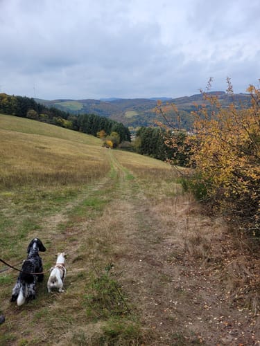 Ulmet Runde