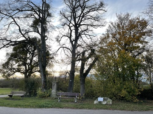 Hirn-Gallenberg-Tour (Traumschleife)