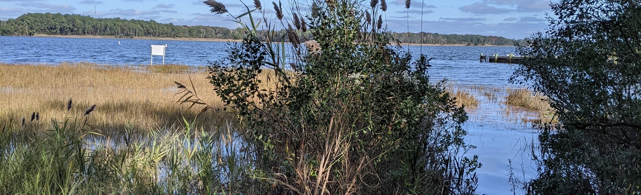 White Horse Park Ocean Pines Trail Maryland AllTrails
