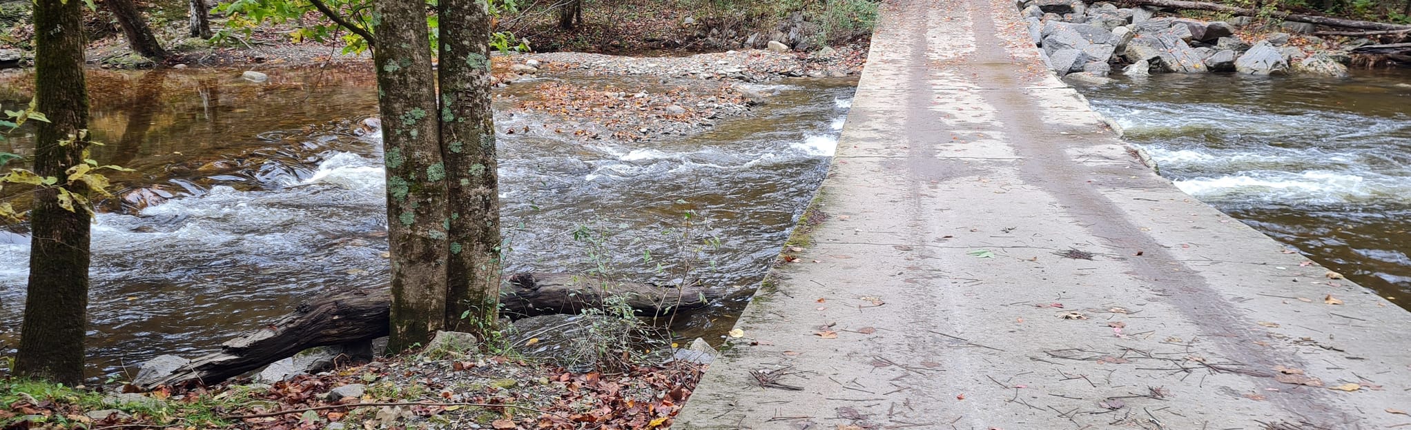 South Fork of Citico Creek Trail, Tennessee - 38 Reviews, Map | AllTrails