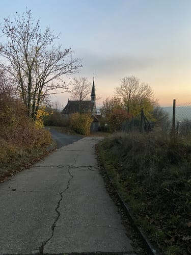 Weinberge bei Randersacker