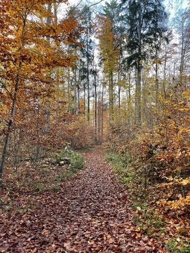 HOCHGEHBERGE I "hochgehträumt" (Premiumwanderweg)