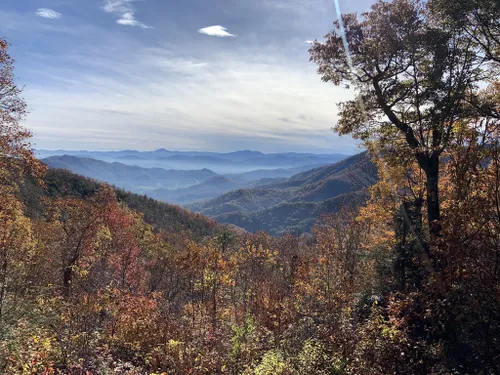 10 Best Trails and Hikes in Waynesville | AllTrails