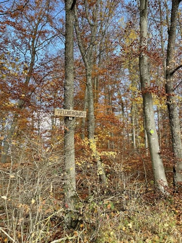 HOCHGEHBERGE I "hochgehträumt" (Premiumwanderweg)