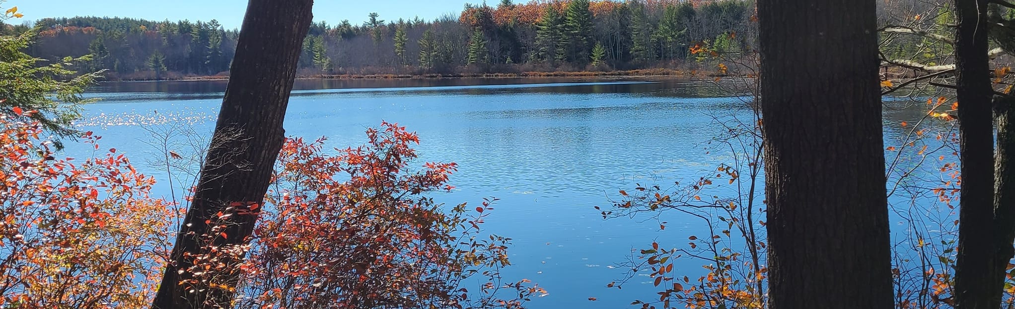 Rail Trail, Hazen's, and Vigue Trail Loop 7 Reviews, Map Maine