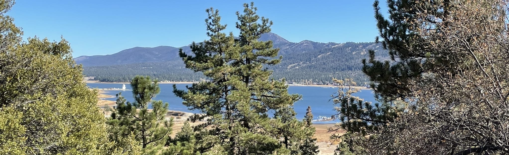 Grays Peak Trail 976 Reviews, Map California AllTrails