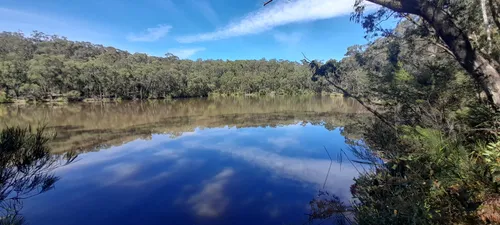 Best Hikes and Trails in Moondarra State Park | AllTrails