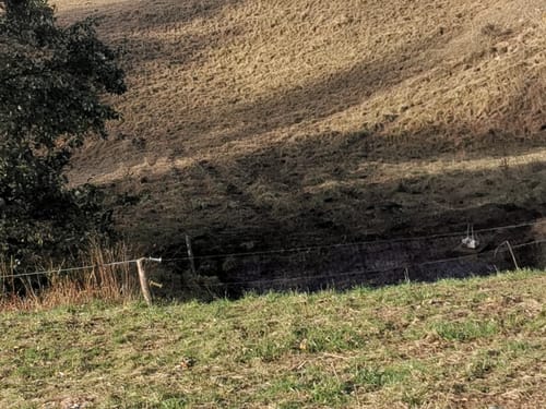 Kuhndorftal - Knittelholzweg