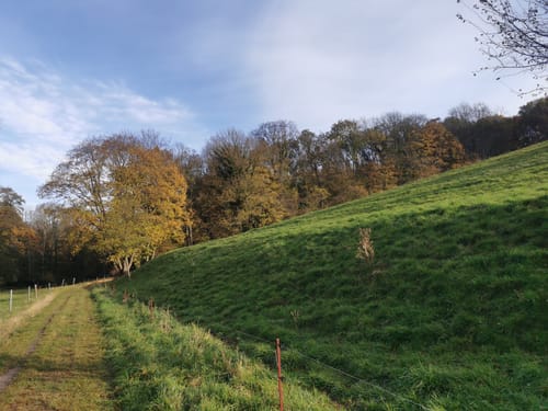 Kuhndorftal - Knittelholzweg