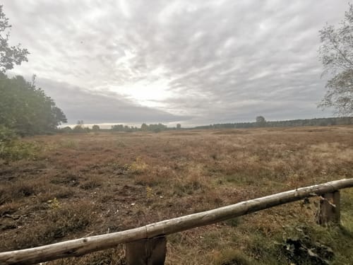 Kleinenknetener Steine