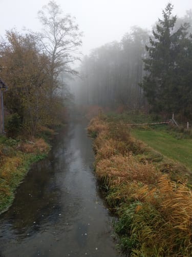 Mühlenrunde im Schuttertal
