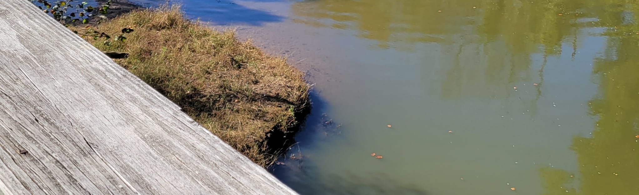 Hocking River Paddle Route Chauncey to Grosvenor 4 Reviews, Map