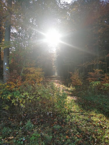 Naturlehrpfad Seitzenhahn (Längere Runde)