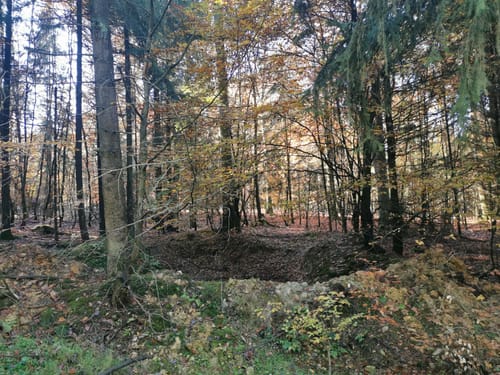 Naturlehrpfad Seitzenhahn (Längere Runde)