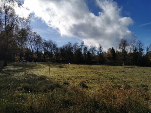 Naturlehrpfad Seitzenhahn (Längere Runde)