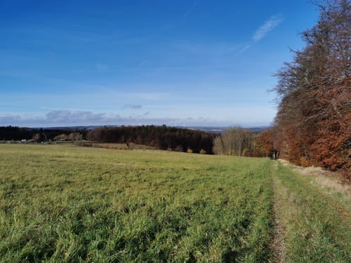 Naturlehrpfad Seitzenhahn (Längere Runde)