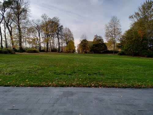 Brooker Wald