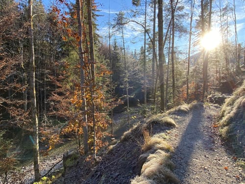 Benediktenwand ab Jachenau