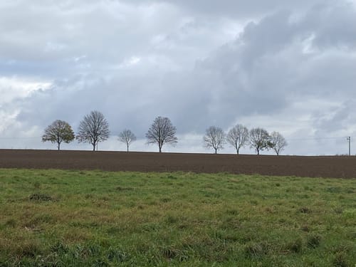 Apollinaris-Schleife (Premiumwanderweg)