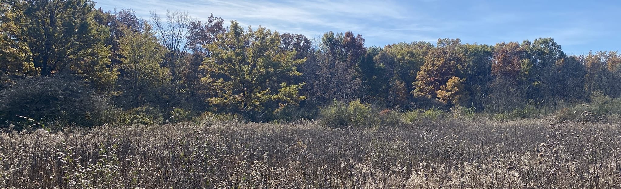 Scout, Oak Ridge, Plum Creek and Snapper Pond Loop 129 Reviews, Map