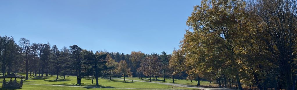 are dogs allowed at chestnut ridge park