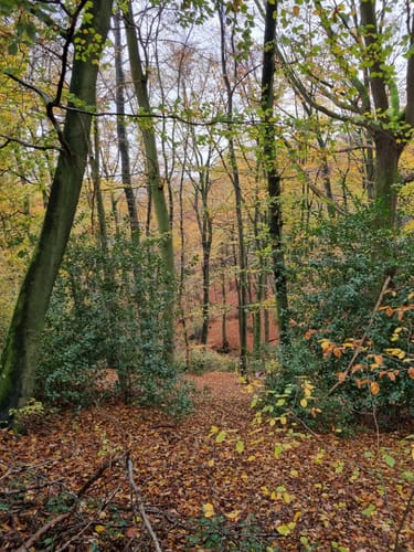 Untenrüden-Lukasweg