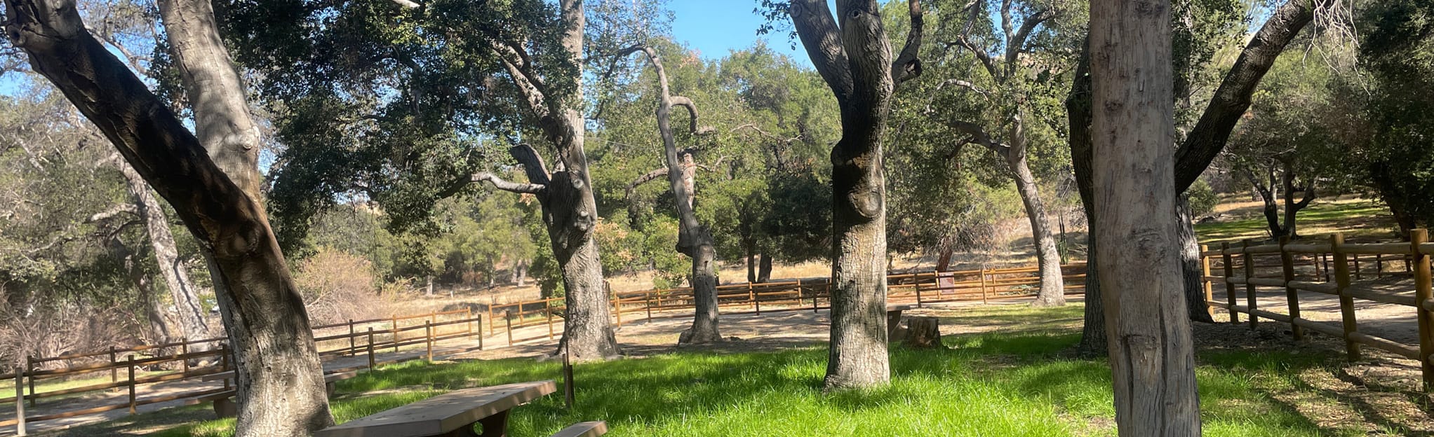 Pine to Needham, California 11 Reviews, Map AllTrails