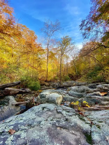 Best 10 Hikes and Trails in Prince William National Forest Park | AllTrails