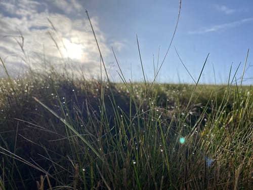 Ranseler Höhenrausch (Premiumwanderweg)