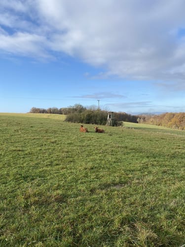 Ranseler Höhenrausch (Premiumwanderweg)