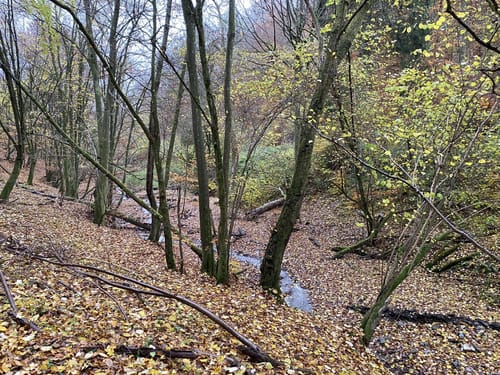 Ranseler Höhenrausch (Premiumwanderweg)