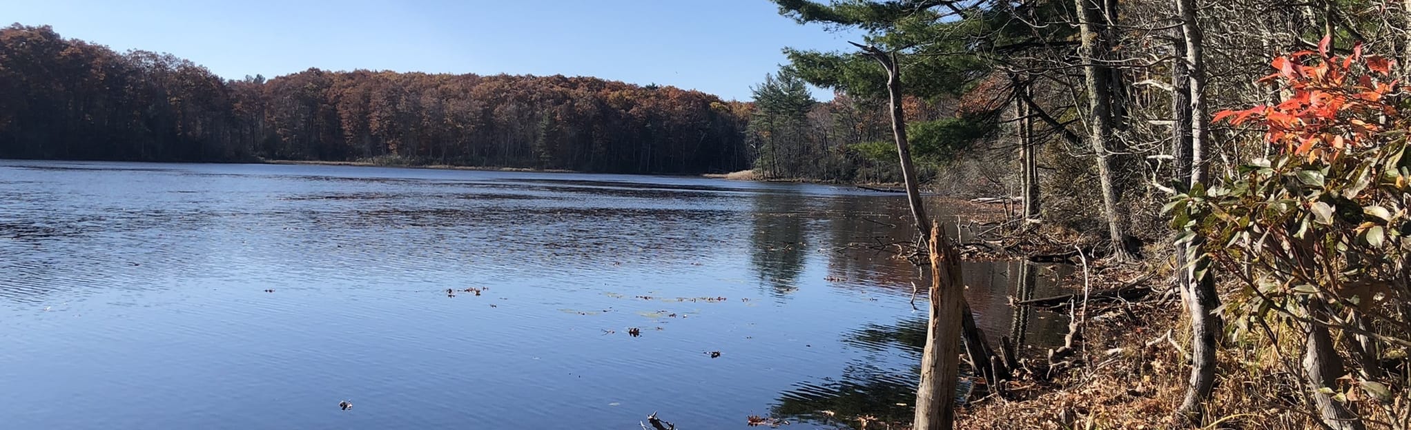 Southwick Pond Trail 80 Reviews, Map Massachusetts AllTrails