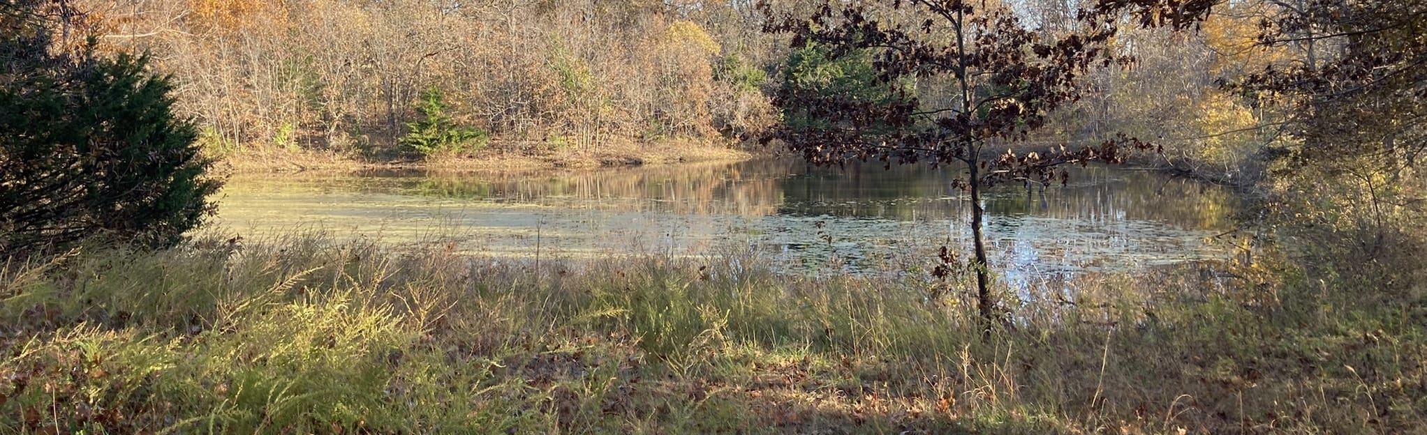 Blue and Gray Park Orange Route 28 Reviews, Map Missouri AllTrails