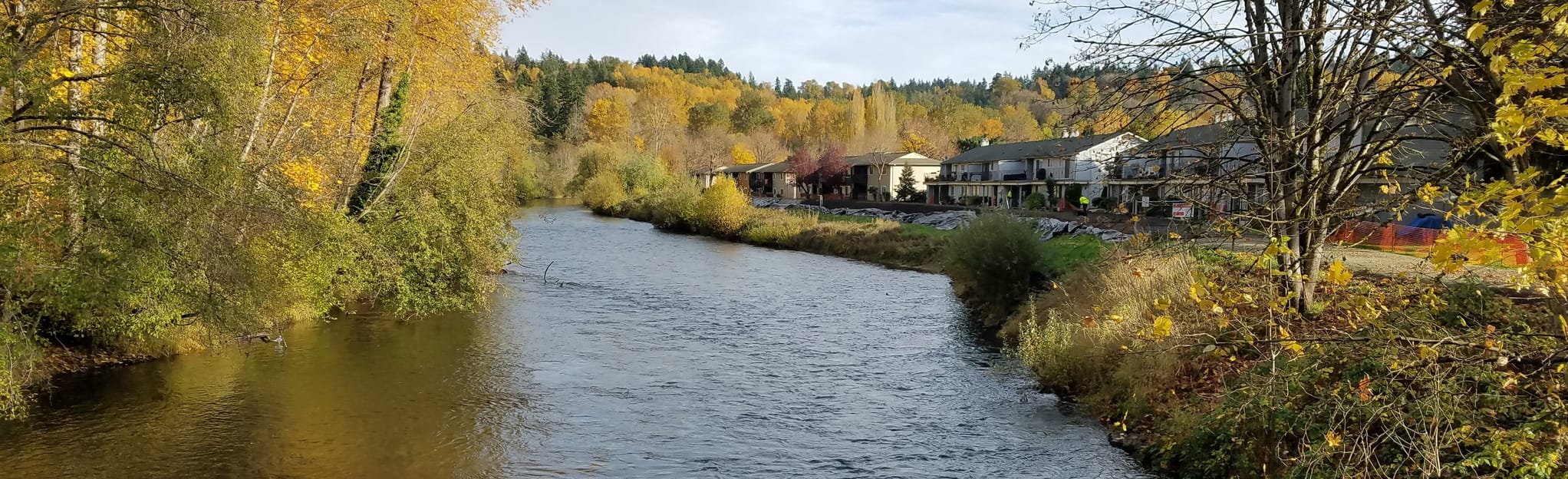 AllTrails Lower Green River Trail 120 Reviews, Map Washington