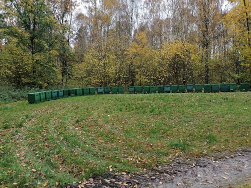 Dewitzer Weg Wald Runde