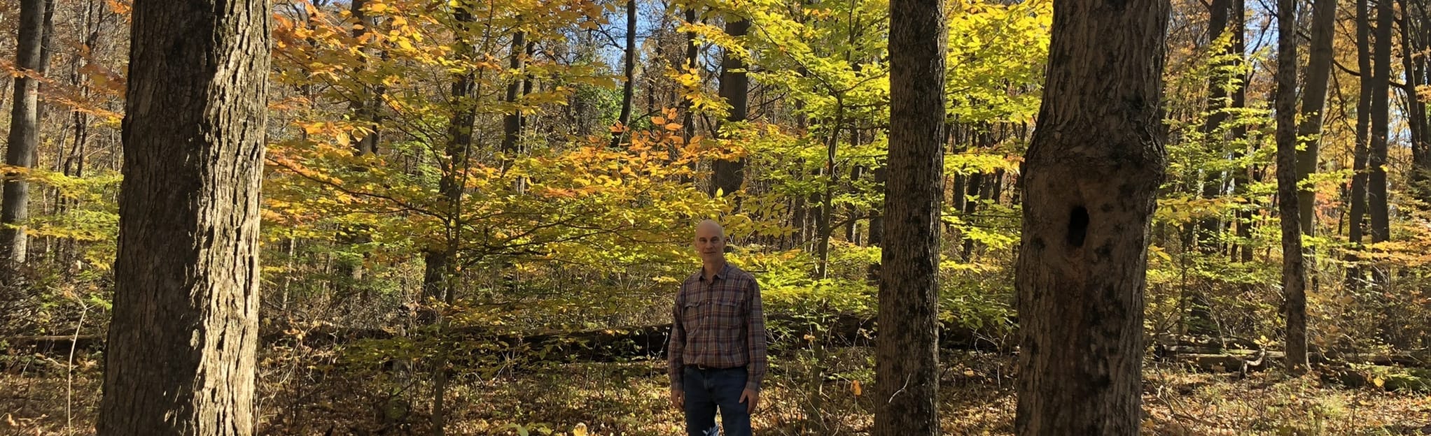 Flint Ridge to Creek Trail, Ohio 98 Reviews, Map AllTrails