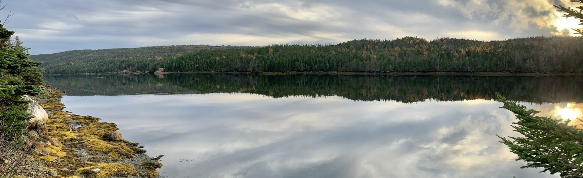 East Coast Trail Mudder Wet Path 11 Reviews, Map Newfoundland and