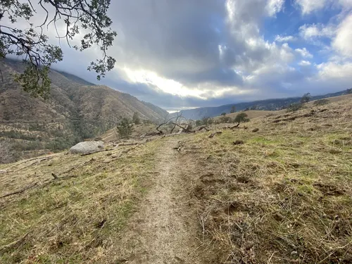 Dog friendly hikes sequoia national cheap forest