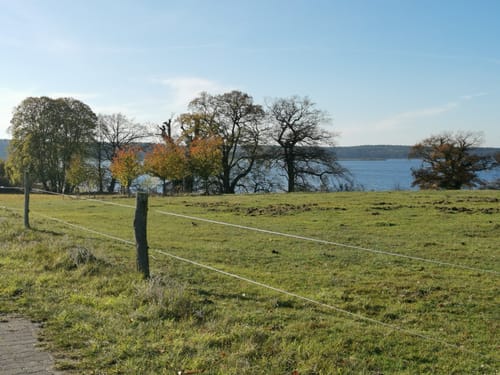Dobbin-Linstow - Glave - Walkmöhl