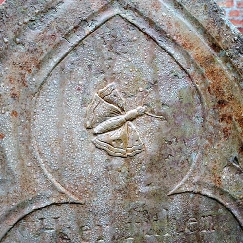 Seebrücke Prerow - Hohe Düne - Seemannskirche