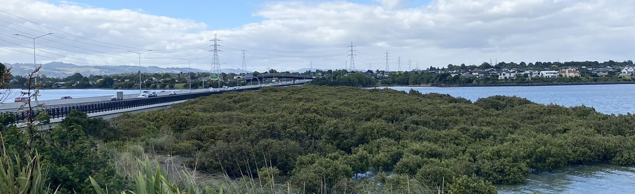 Southern Bridge Walk, Auckland, New Zealand 17 Reviews, Map AllTrails