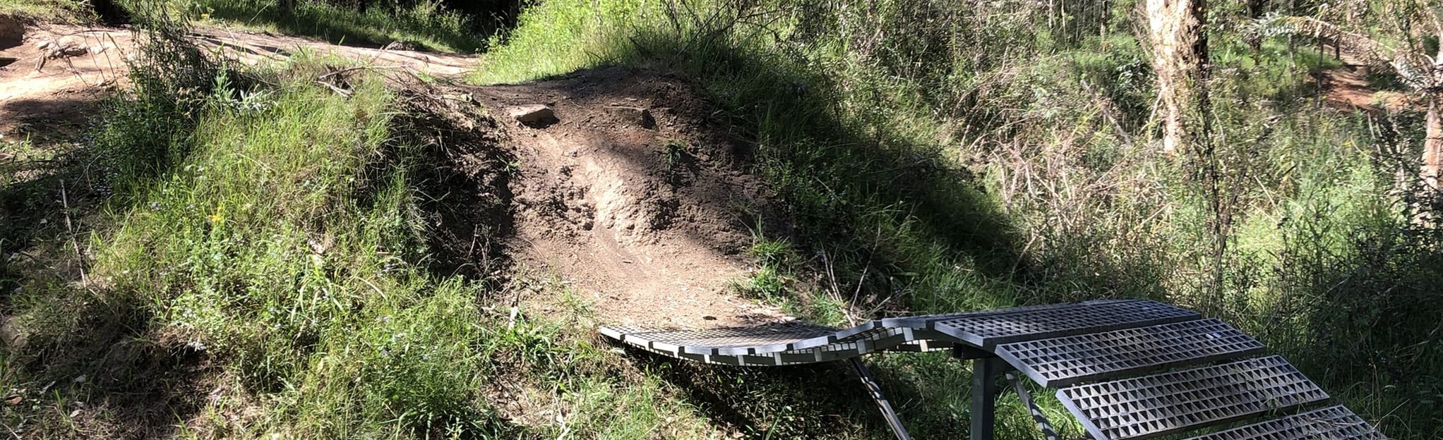 wylde mtb