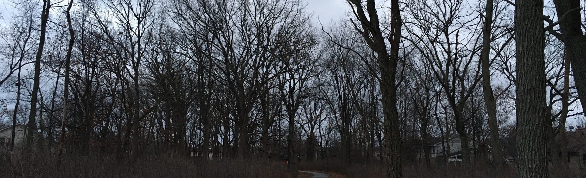 O'Plaine Park Loop 10 Reviews, Map Illinois AllTrails