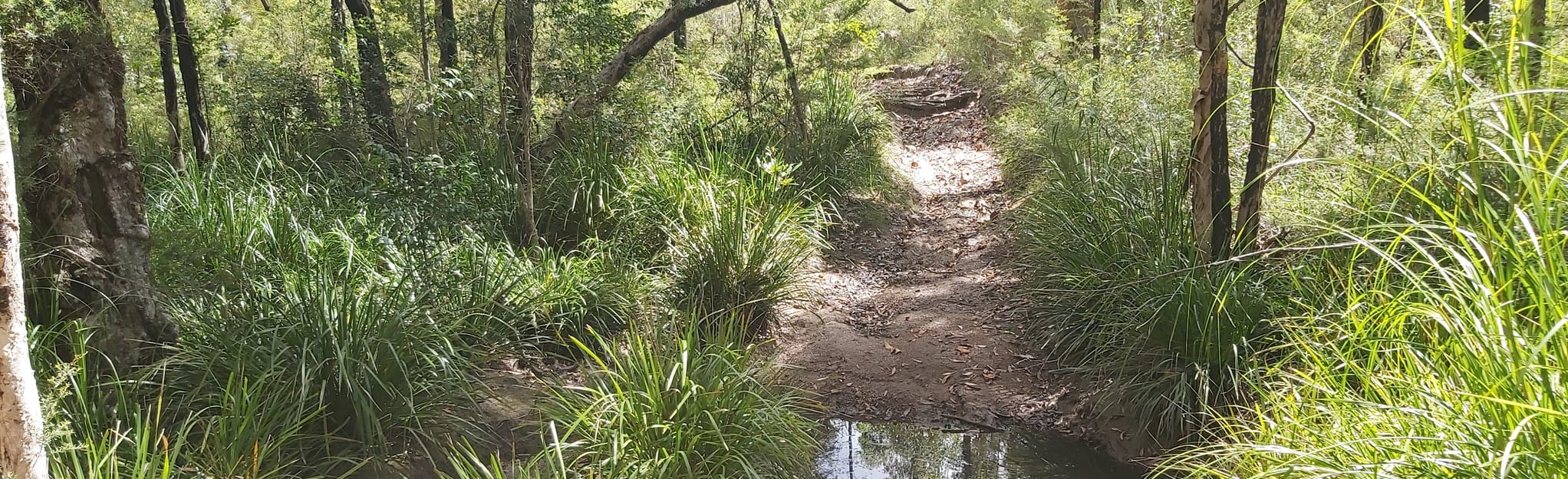 Wallaroo Long Loop 16 foto's NieuwZuidWales, Australië Wandelen