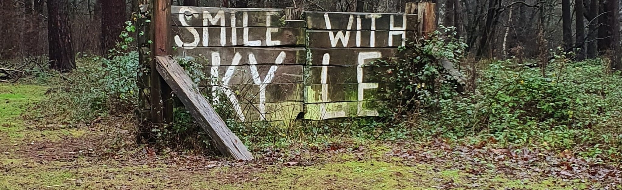 Liss Forest and Woolmer Forest Circular 18 Reviews, Map Hampshire