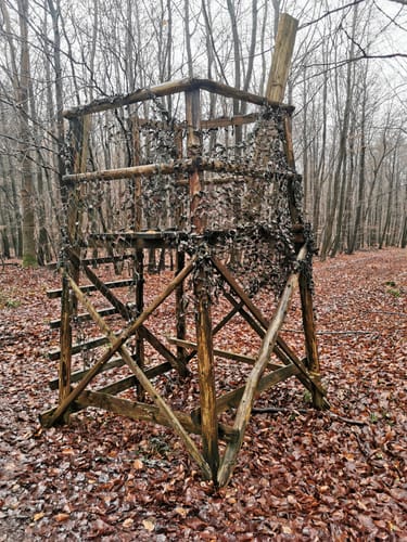 Elm Rundwanderweg 27 (Reitlings-Rundweg)