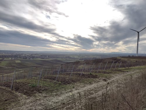 Hiwweltour Zornheimer Berg